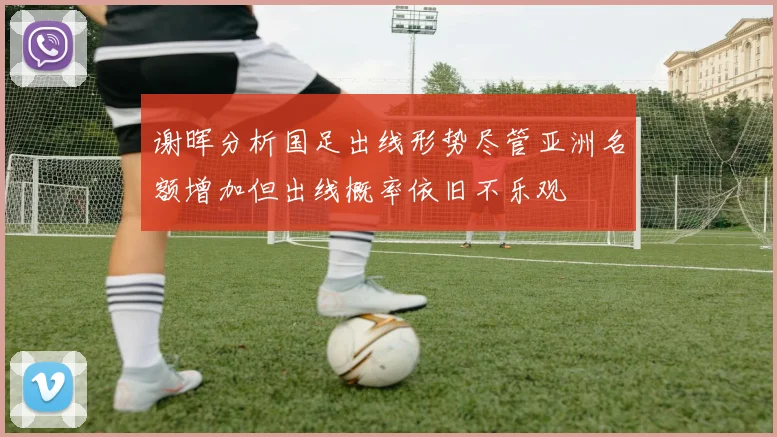 谢晖分析国足出线形势尽管亚洲名额增加但出线概率依旧不乐观