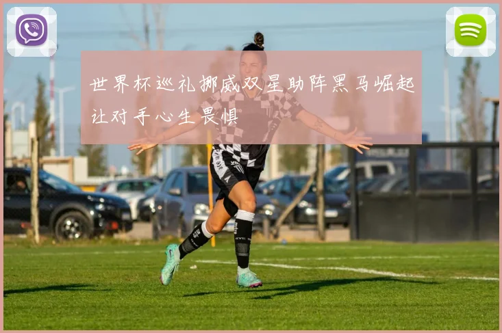 世界杯巡礼挪威双星助阵黑马崛起让对手心生畏惧
